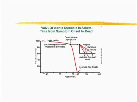 lv systolic|preserved lv systolic function meaning.